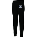 Men's PERFORMANCE FLEECE JOGGER